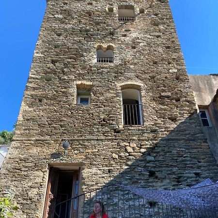 Torra Di Ciocce Bed and Breakfast Pino Εξωτερικό φωτογραφία